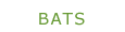 Bat Quiz