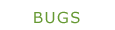 Bug Quiz