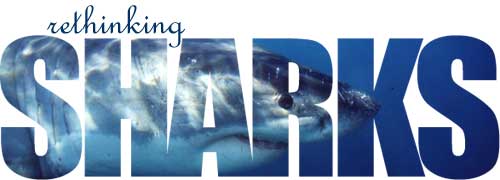 Rethinging Sharks